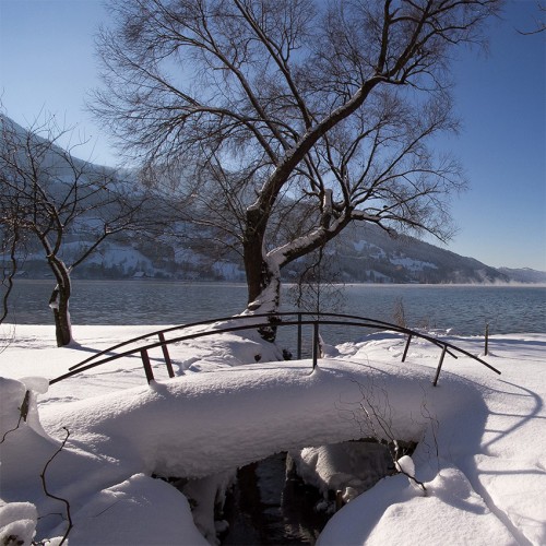 alpsee-winter.jpg